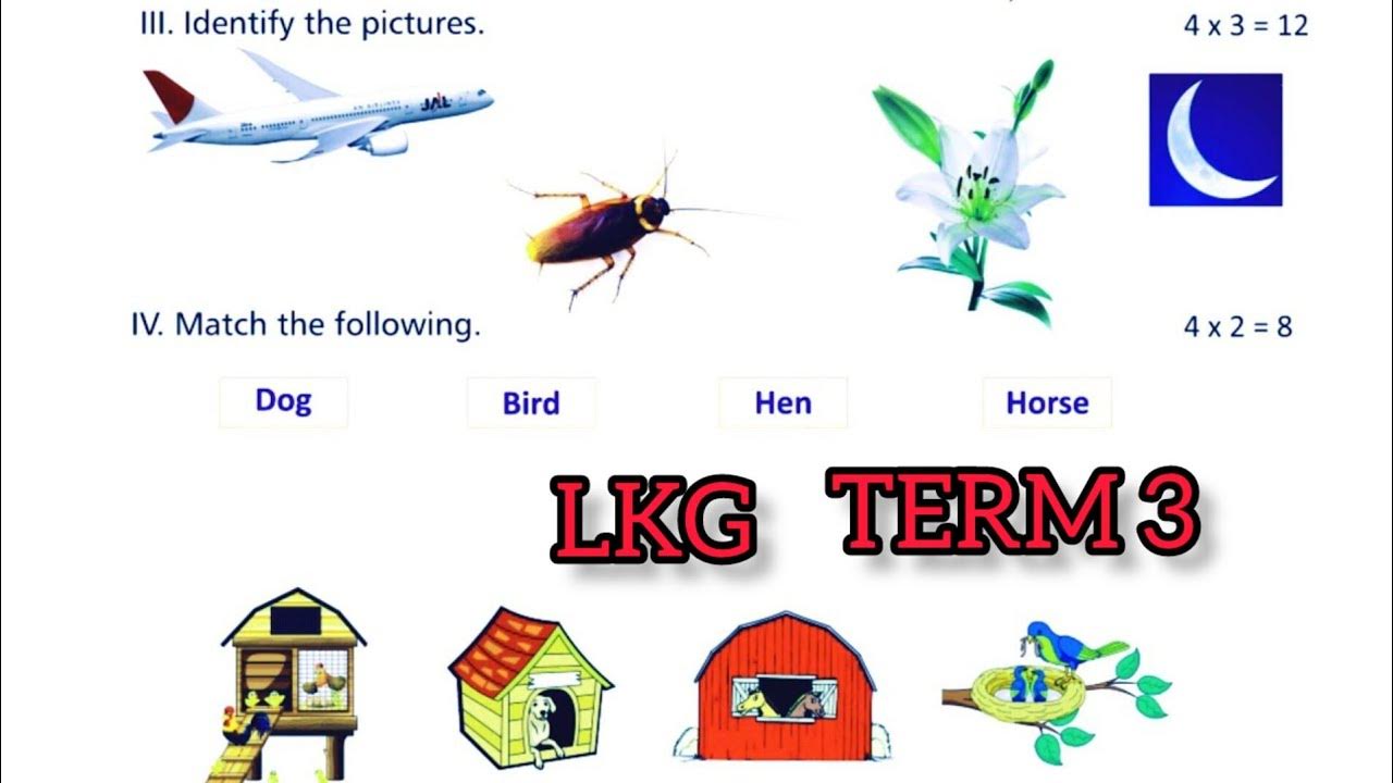 lkg question paper lkg third term model question paper lkg EVs question