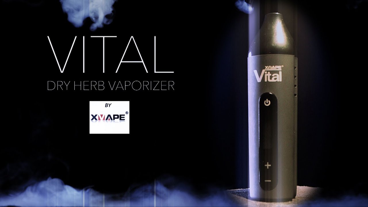 Vaporisateur à herbe sèche VITAL XVAPE XMAX – VAP