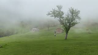 Otuz Beş Yaş Şiir