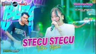 Stecu Stecu Intan Afifah live konser musik dangdut koplo viral terbaru fyp tiktok