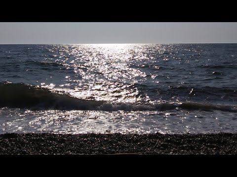 ცარიელი სანაპირო - ჩართვა აფხაზეთის საზღვრიდან