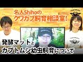 『発酵マット&カブトムシ幼虫飼育について』名人Shihoのクワカブ飼育相談室