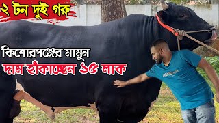 ২ টন দুই গরু, দাম হাঁকাচ্ছেন ১৫ লাক কিশোরগঞ্জের খামারি মামুন ভাই । কোরবানি ২০২৪