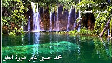 محمد حسين عامر  سورة العلق