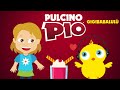 Pulcino Pio - Gigibabalulù