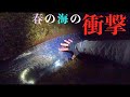 深海の使いに誘われて 編【春シーバス釣行part3×リュウグウノツカイ】