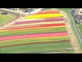 KIRO 7 Chopper flies over beautiful Skagit Valley