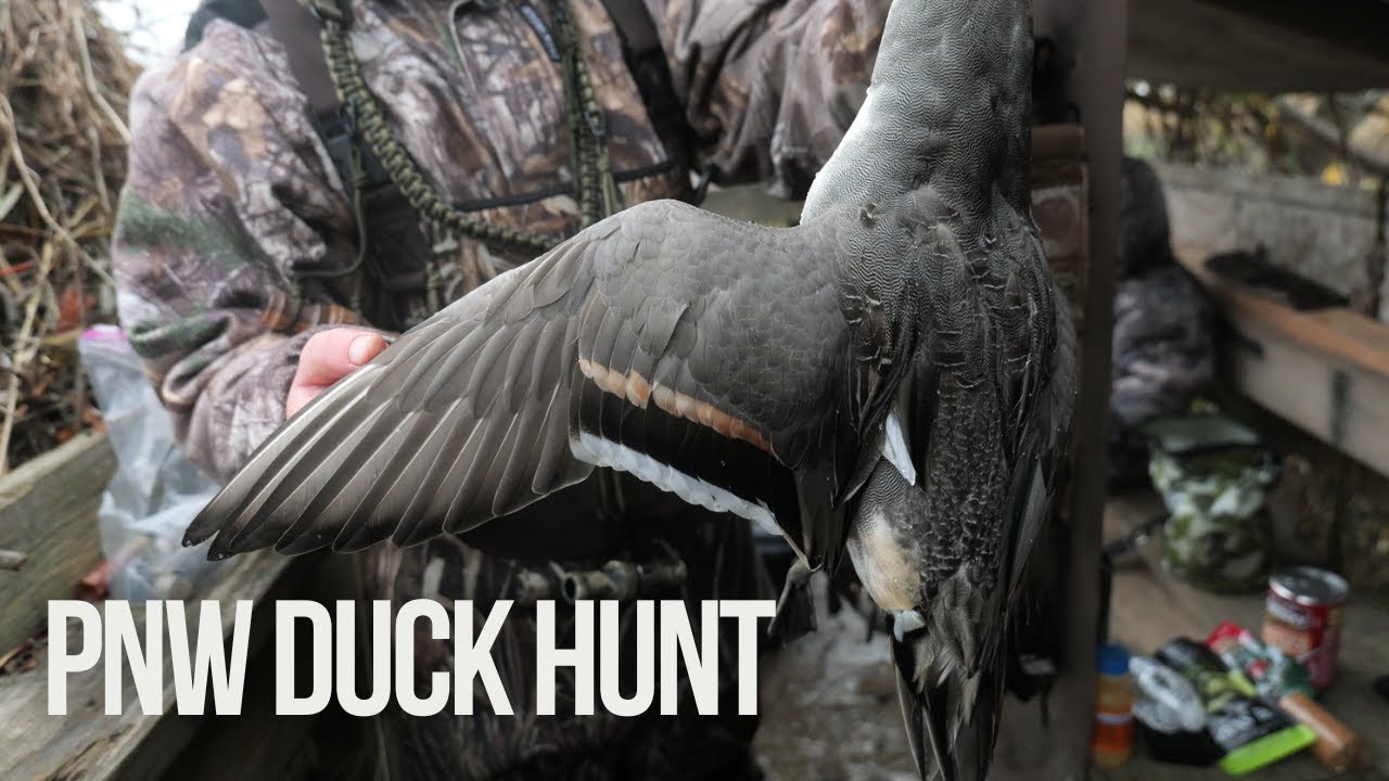 PNW Duck Hunt | Time In The Duck Blind | - YouTube