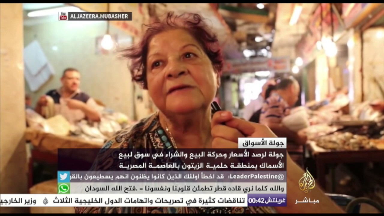 جولة الأسواق | سوق لبيع الأسماك بمنطقة حلمية الزيتون في مصر