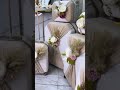 كوشة زفاف Decoration ديكور حفلات أعراس أفراح عمل كوشات اعراس منزلية كوشات اعراس منزلية 1