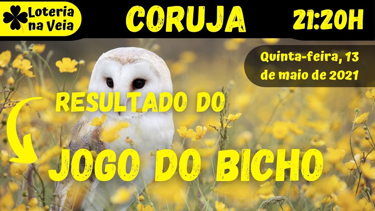 Ao vivo Resultado do jogo do bicho a CORUJA rio de hoje 13052021 quinta ...