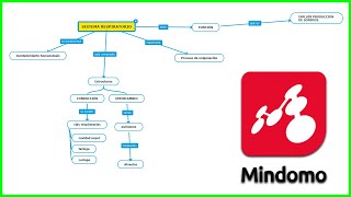 Cómo CREAR UN MAPA CONCEPTUAL en MINDOMO 2021 ACTUALIZADO