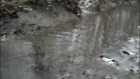 TRAPPING - Coon pocket set video