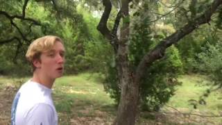 The official 2016 Green Party commercial troll for Sterling Class