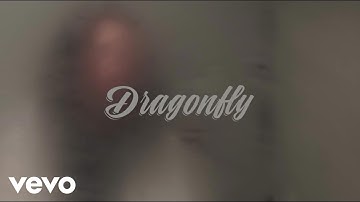 Aaron Chapple - Dragonfly (Official Music Video)