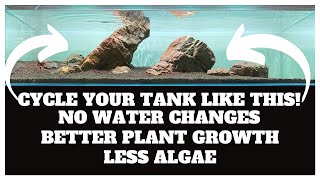 Avoid Algae During Startup By Cycling Your Planted Tank Like This!  Loads Of Benefits!