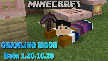 MINECRAFT FINALLY ADDED CRAWLING MODE IN BEDROCK BETA 1.20.10.20