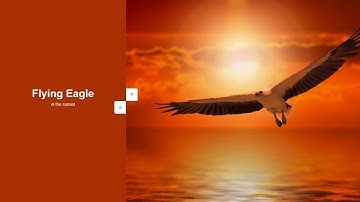 Double Vertical Slider using Html Css & JavaScript | #50Days50Projects | #Day26 #VerticleSlider