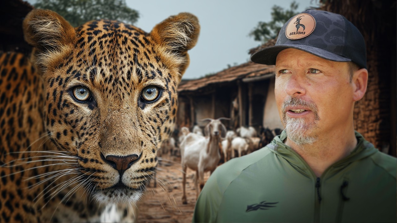 A Village Under Attack by Leopards!