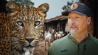 A Village Under Attack by Leopards!