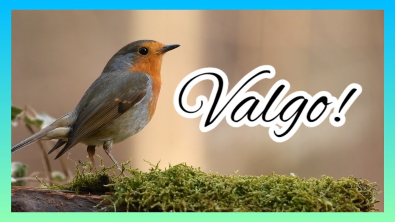 Un poema para los tiempos difíciles: Valgo de Jorge Luis Borges ️ ️