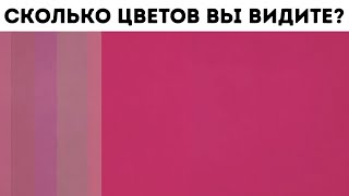 Проверьте, видите ли вы больше цветов, чем другие люди