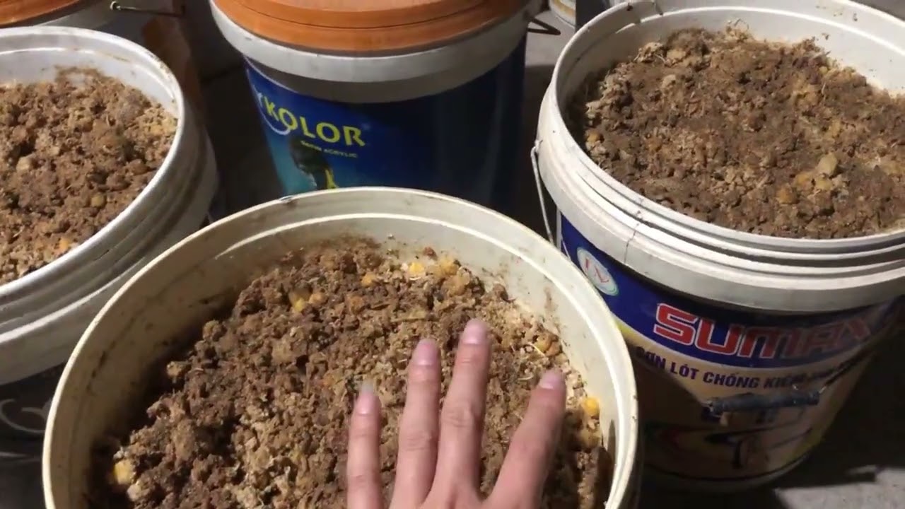 Fishing 49 Mồi ủ câu mùa đông, mùa hè tổng hợp các loại cá