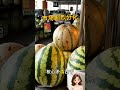 西瓜价格大跳水?别急,真相没这么简单