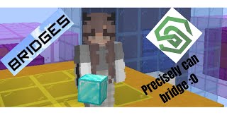 I'm back! (Minecraft Java) "bridging" Profile