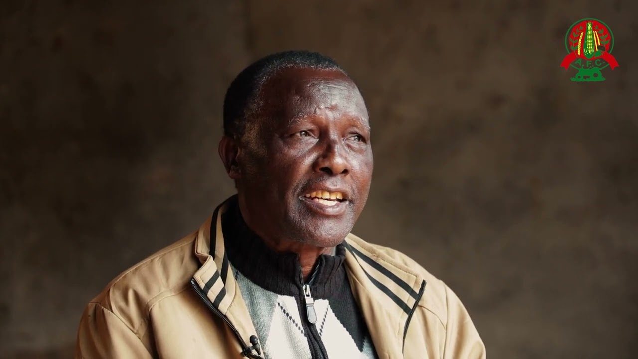 From 82 chicken to 300,000 chicken