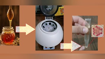 Using a centrifuge to get pollen out of honey