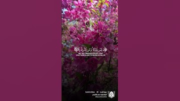 تلاوة بصوت سعد الغامدي من سورة النساء  #قران #قرآن_كريم #آيات #استغفرالله #الحمدلله #quran