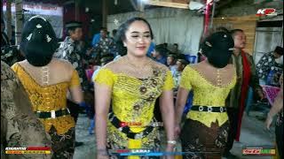 TAYUB SPECIAL LC (LASTRI CILIK) SIDO LARAS