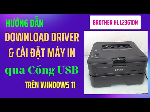 Hướng dẫn Download và cài đặt Driver máy in Brother HL L2361DN trên Windows 11