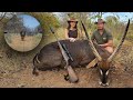 Bushveld hunt ten days three species michelles waterbuck  delicious crumbed strips