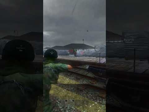 Перестрелка в Берёзено Dayz #shorts
