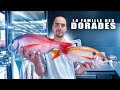 Je découpe des sparidés (des dorades quoi) thumbnail