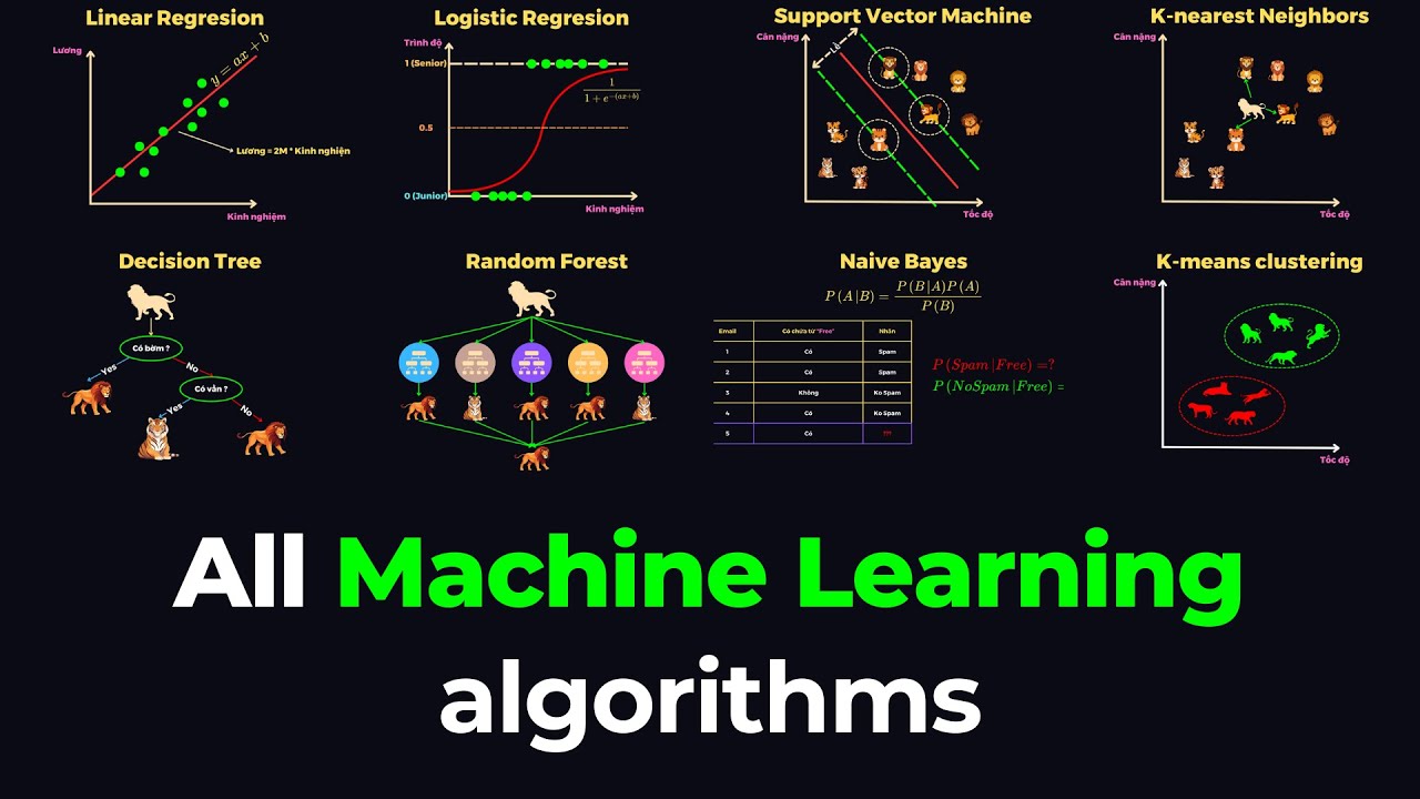 Tất cả các thuật toán Machine Learning trong 23 phút