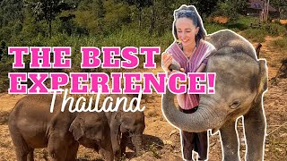 ETHICAL ELEPHANT EXPERIENCE | Elephant Freedom Village | Chiang Mai Thailand | Elephant Sanctuary