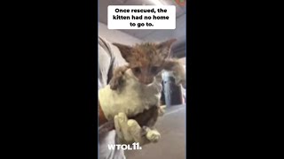 Firefighter rescues, adopts kitten in need of home