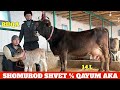 QAYUM AKA FERMASIDA ISHONCHLI SIFATLI SIGIRLAR