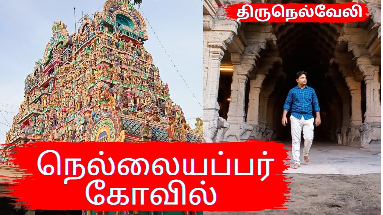 Tirunelveli நெல்லையப்பர் கோவில் ஆசியாவின் பெரிய சிவன் கோவில் | நெல்லையப்பர் காந்திமதி | nellaiappar