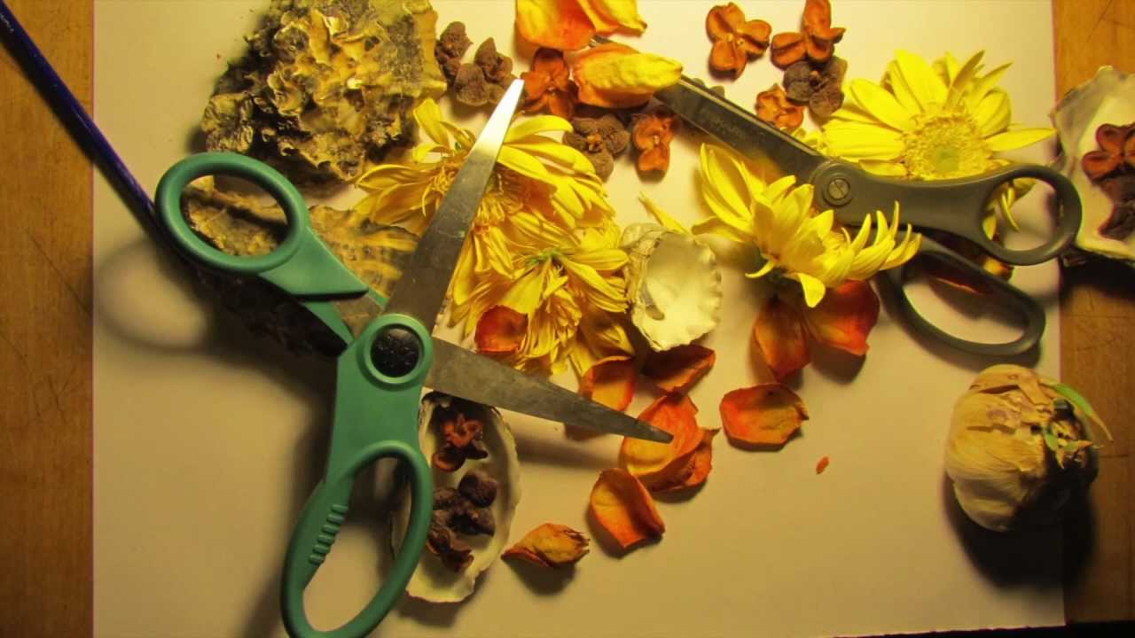 Habitat House Show 3/9/13 YouTube