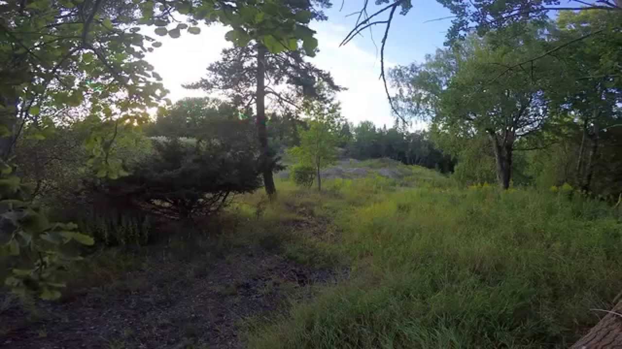 Drone Racing - Forest Circuit