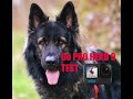 Go Pro Hero 9 Black Review