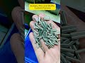 Professional Nut & Screw Manufacturing Inside Our Factory