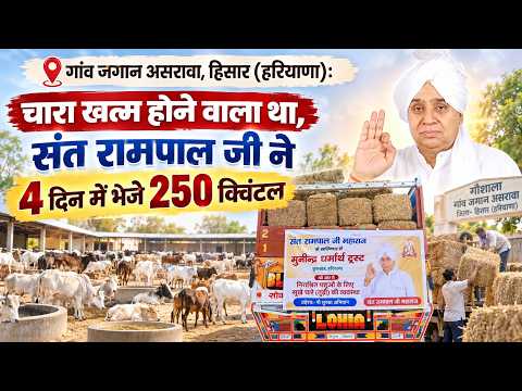 गांव जगान असरावा, हिसार (HR): चारा खत्म होने वाला था, संत रामपाल जी ने 4 दिन में भेजे 250 क्विंटल