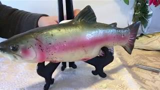 I Make A Talking Fish From A Talking Tom Ginger And A Travis Trout