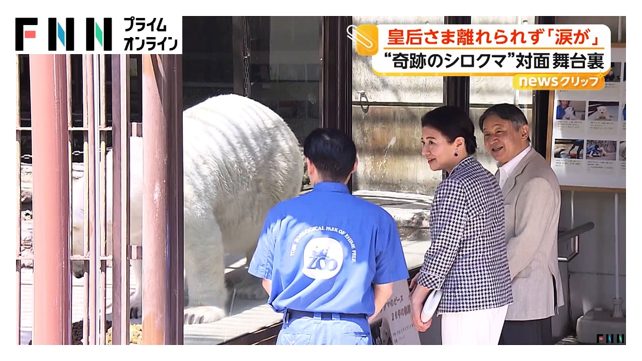 天皇皇后両陛下と対面のシロクマ「ピース」 “過去イチ”白い毛並みでお迎え 美しさの秘訣は体の「お清め」（2026年05月20日）