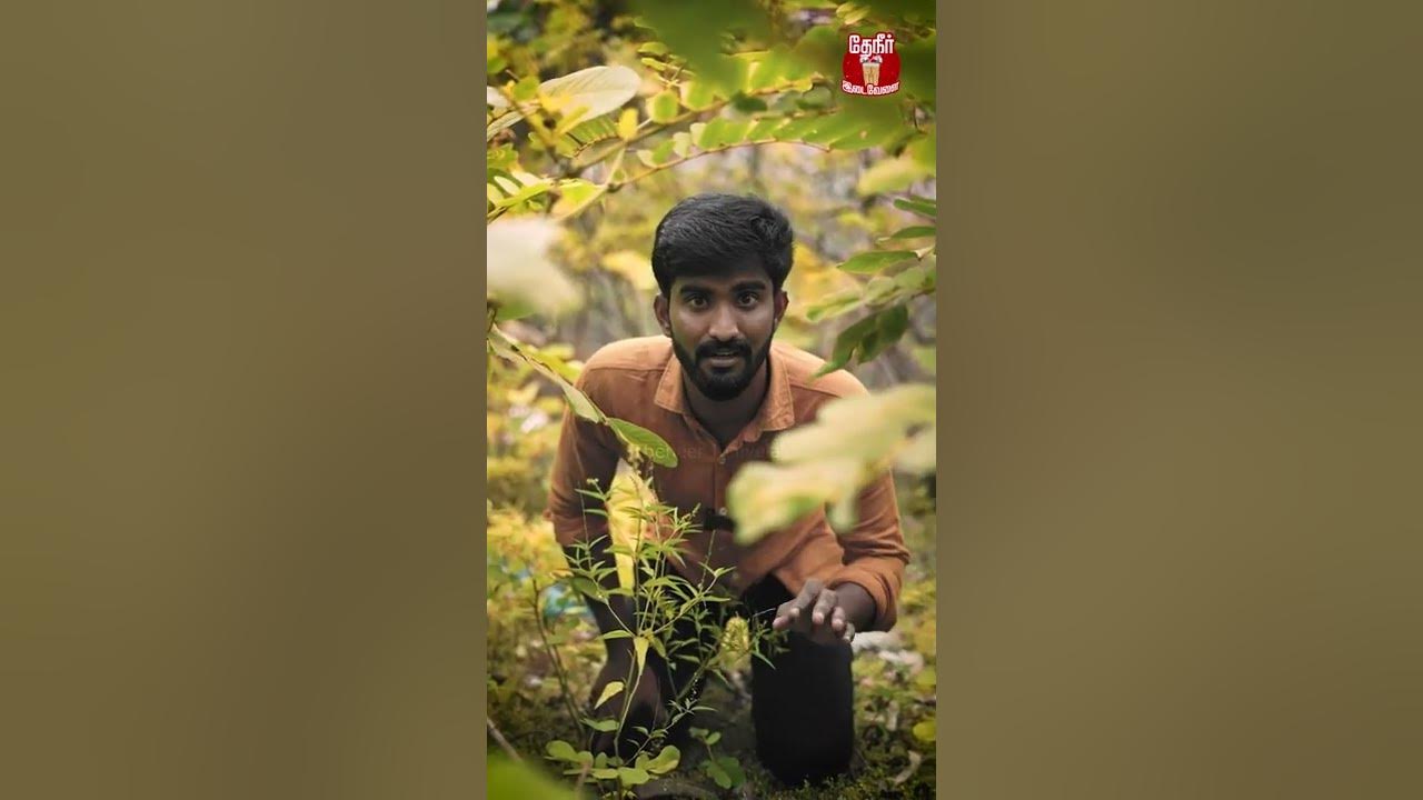 Newzealand is the country has no snakes in the world😱பாம்பு இல்லாத நாடு எது? YouTube Newzealand is the country has no snakes in the world😱பாம்பு இல்லாத நாடு எது? YouTube